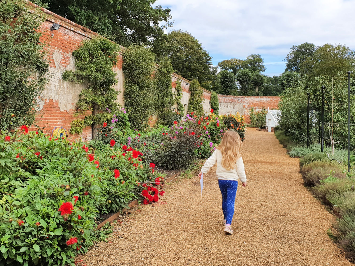 My daughter walks through the walled garden at the Blickling Estate -a day out at Blickling Hall with kids