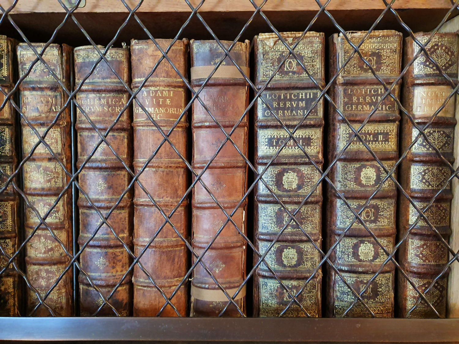 Old books on the shelves of the library at Blickling Hall, behind protective wire - visiting Blickling Hall with kids