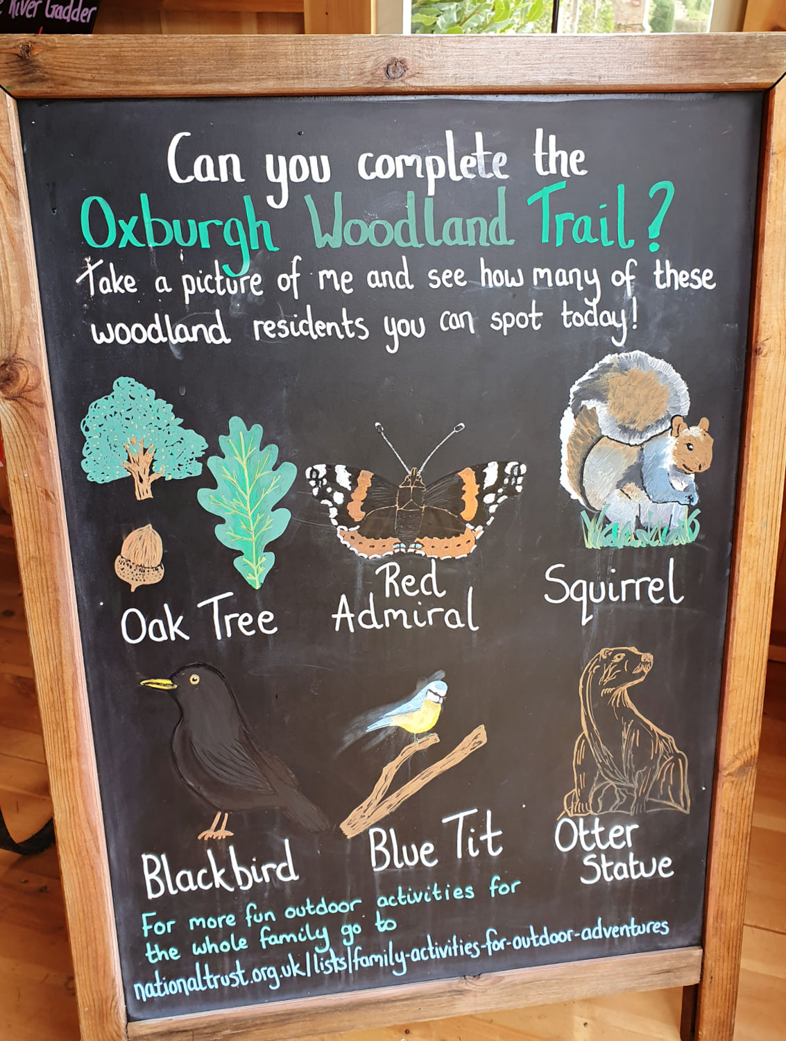 Backboard with things to spot on the Oxburgh woodland trail, including animals and otter statue - a day out at Oxburgh Hall with kids