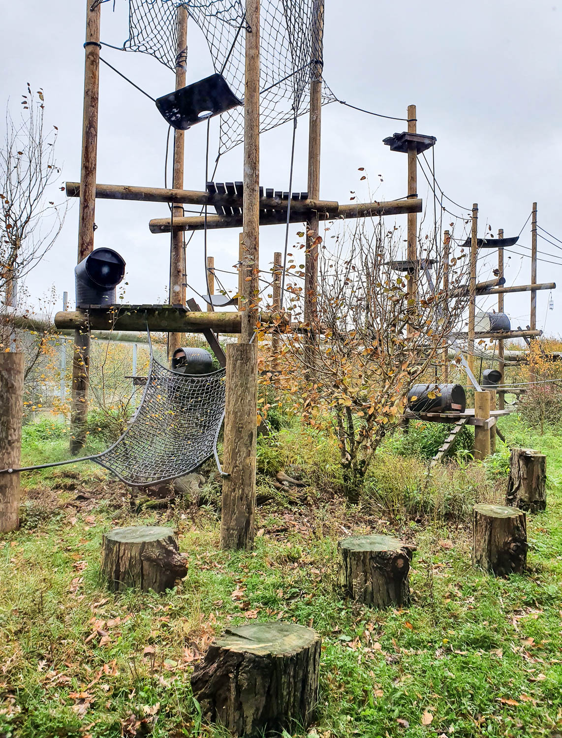 One of the intricate outdoor enclosures at Monkey World Dorset, with stumps, nets, tubes, boughs and bridges - my review of a family day out