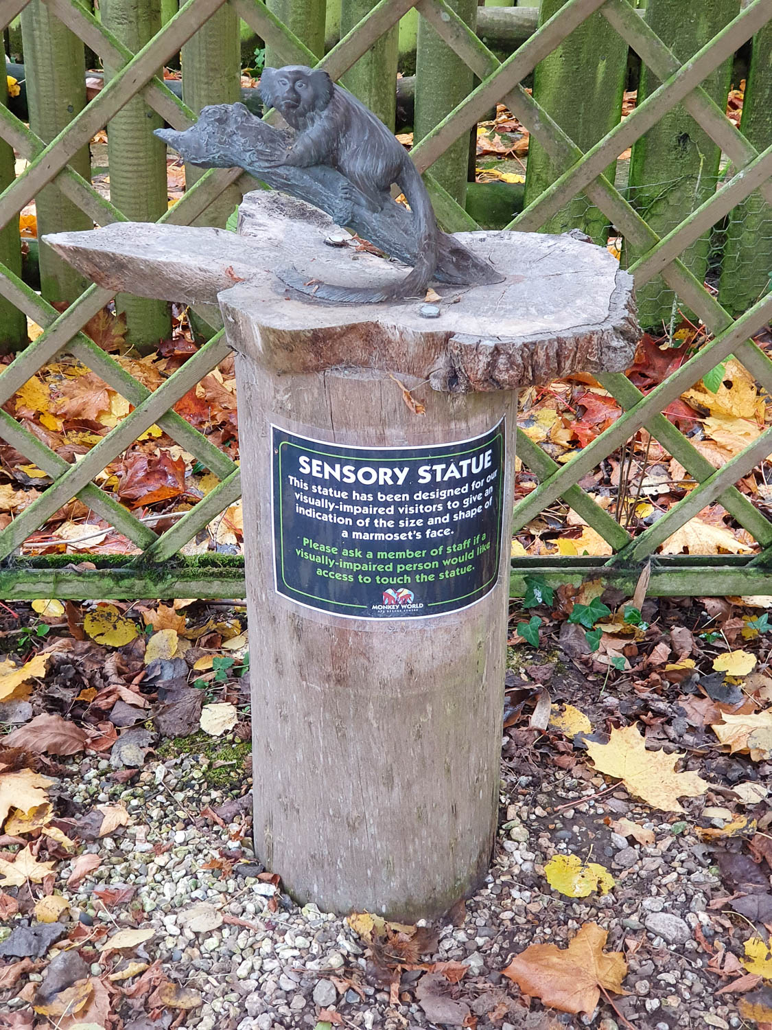 A sensory statue of a marmoset at Dorset Monkey world for visually impaired visitors