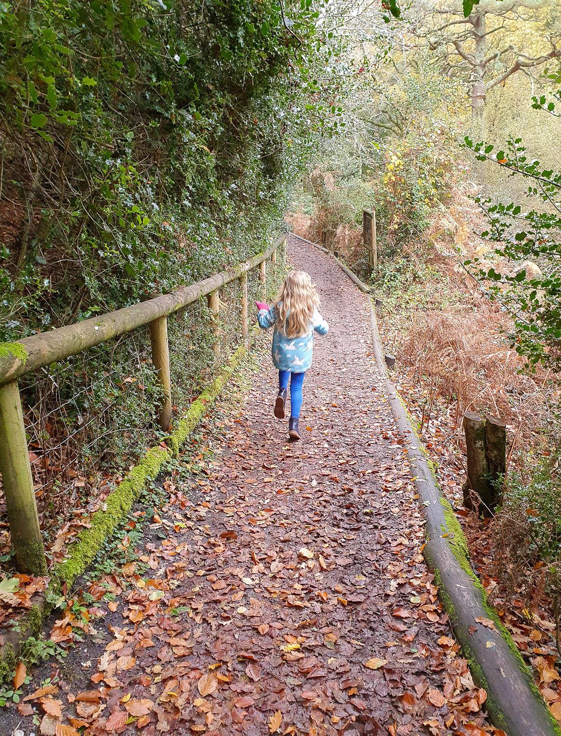My daughter runs along the path through the woodland at Monkey World Dorset