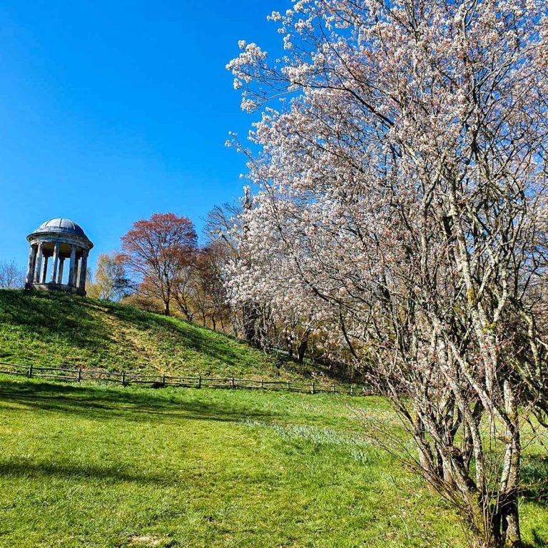 View across the gardens at Petworth with blossoming trees in the foreground and the Doric temple in the distance - a day out at Petworth National Trust in Sussex