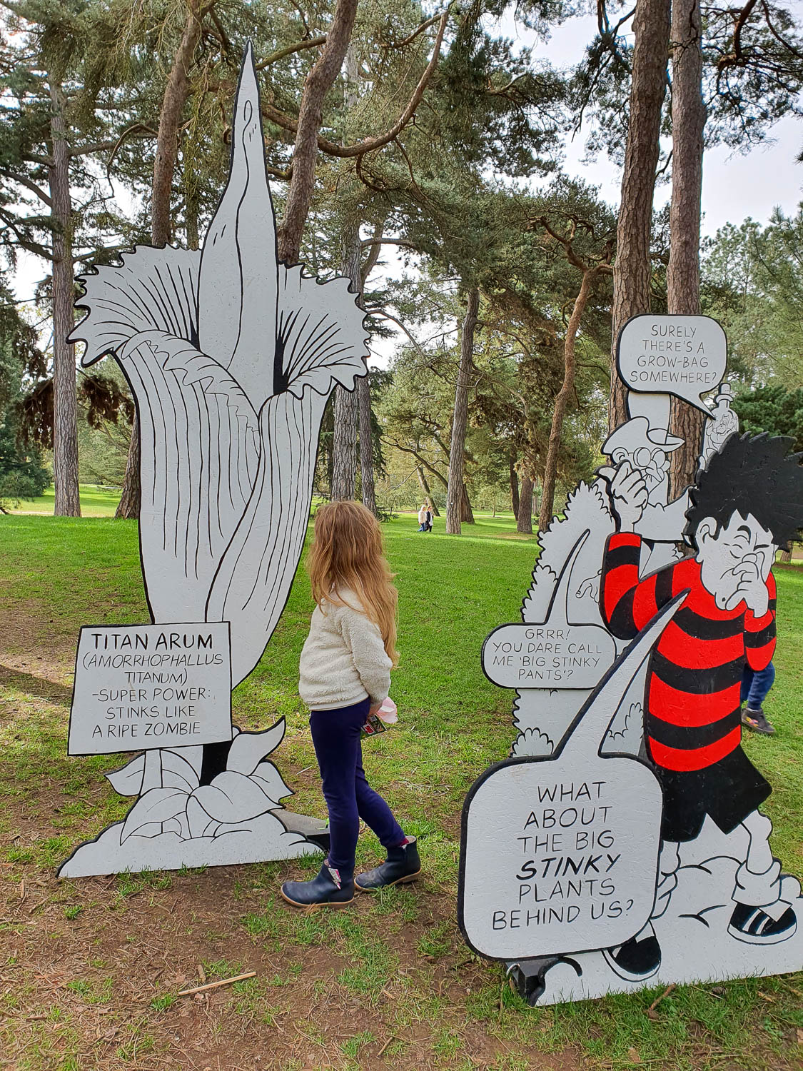 My daughter looks at a cut-out of a titan arum with Dennis the Menace at Kew