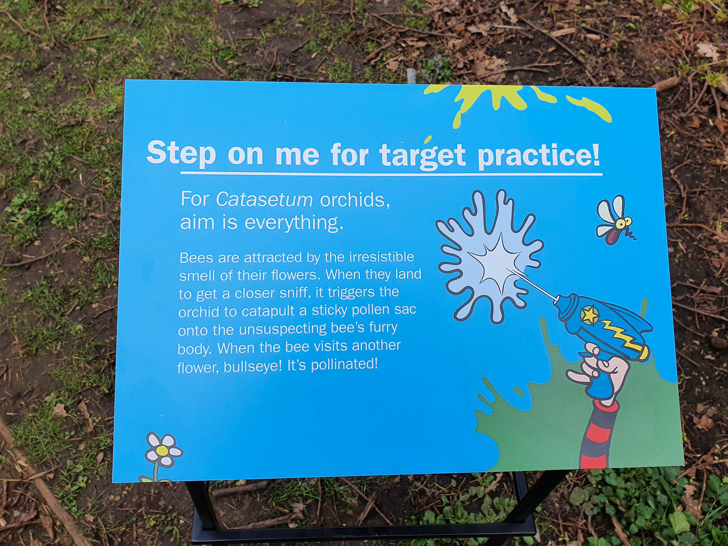 Sign with more information about orchids and their unexpected ways of pollinating as part of the kids trail for Easter at Kew Gardens