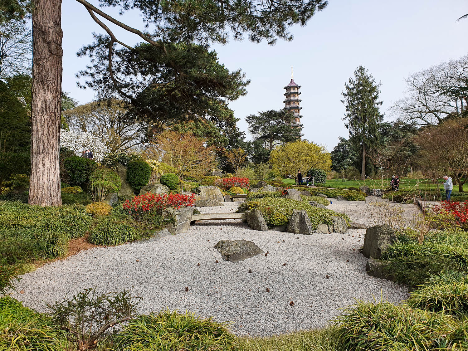 View across the raked gravel of the Japanese garden towards the pagoda during our visit to Kew Gardens at Easter