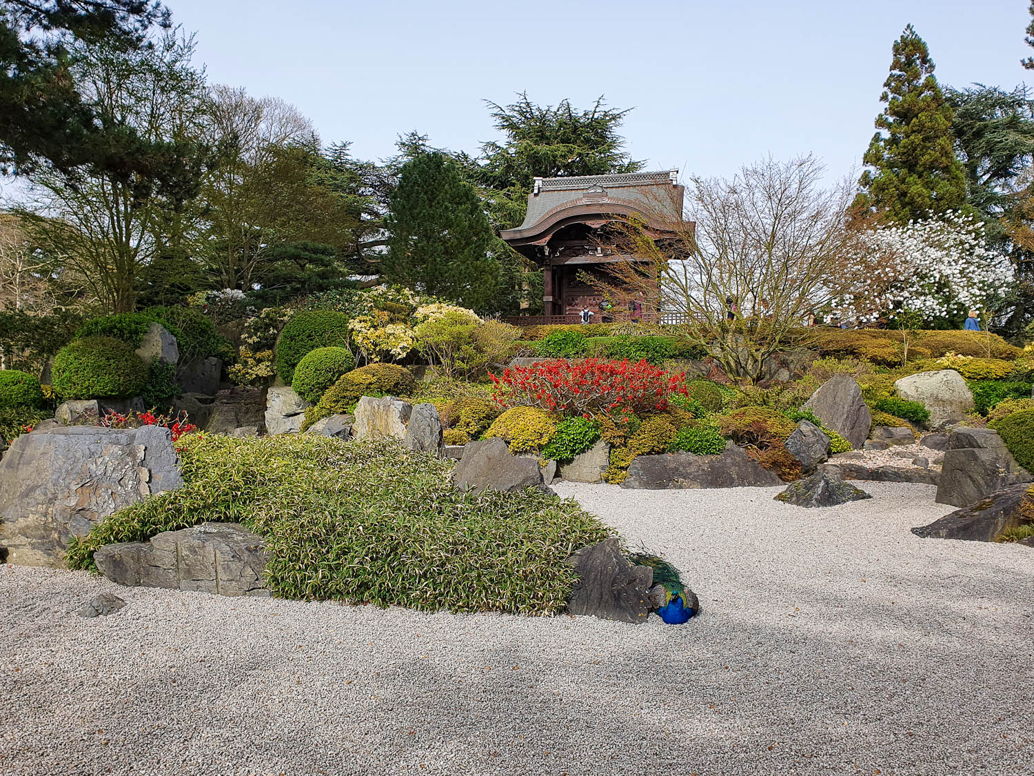 View across the raked gravel of the Japanese garden towards the small temple during our visit to Kew Gardens at Easter