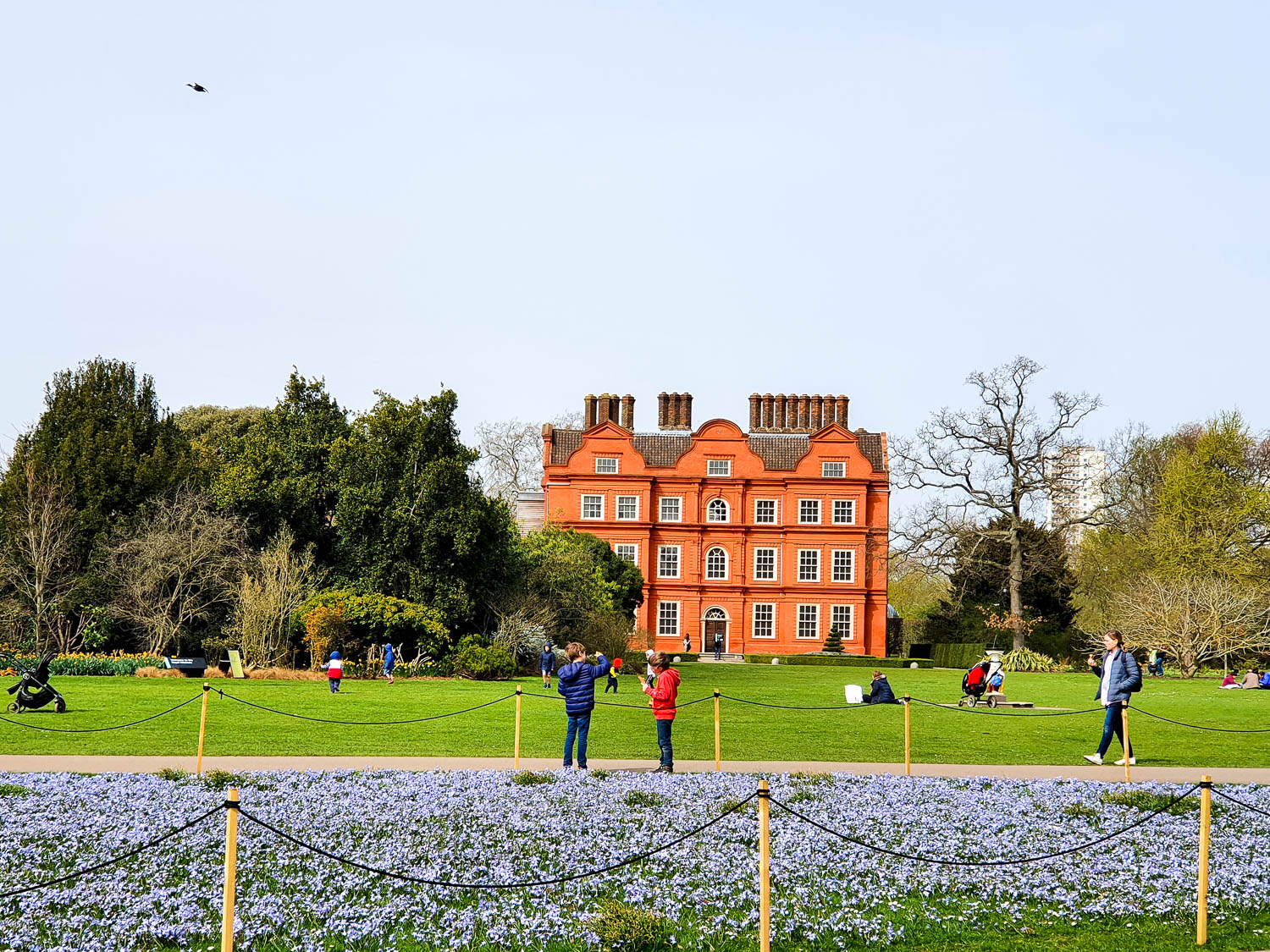 View of Kew Palace with a sea of blue flowers in front of it