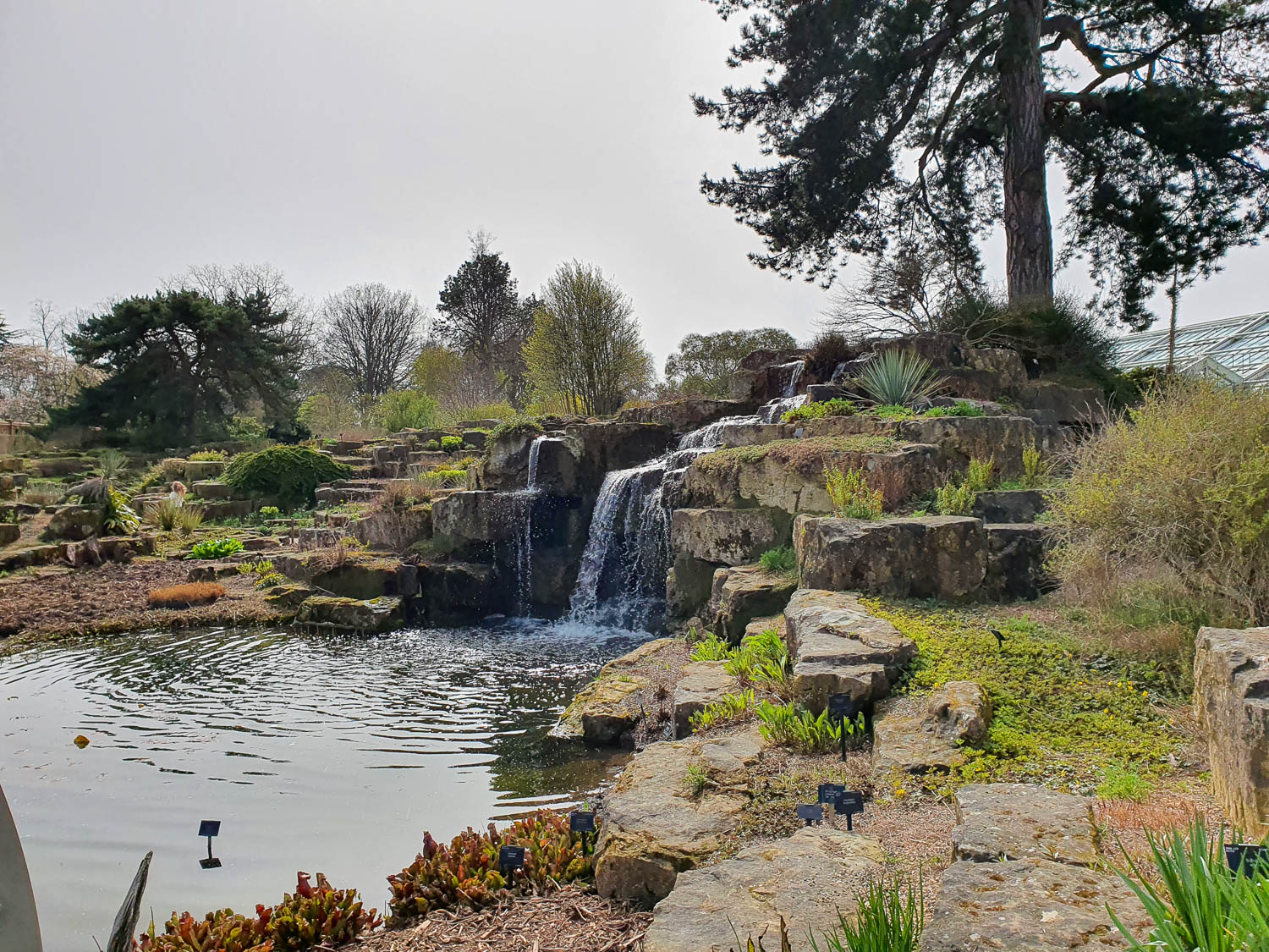 Small waterfall in the rock garden at Kew - visiting Kew Gardens in Spring