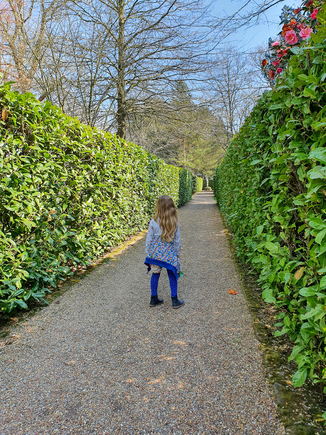 My daughter between two high hedges near the house at Nymans National Trust in Sussex - visiting Nymans with kids