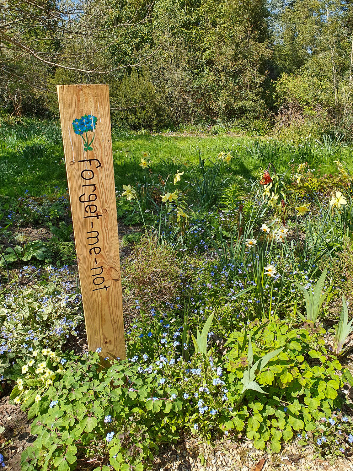 Sign saying forget me not next to forget me not flowers in one of the gardens at Nymans in Sussex - visiting Nymans with kids during a day out in Sussex