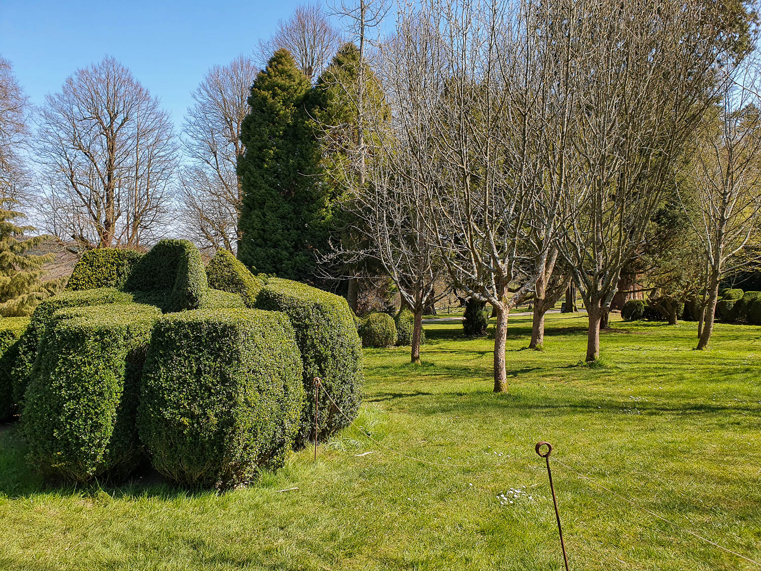 Topiary hedges and trees in the grounds of Nymans - my review of visiting Nymans with kids