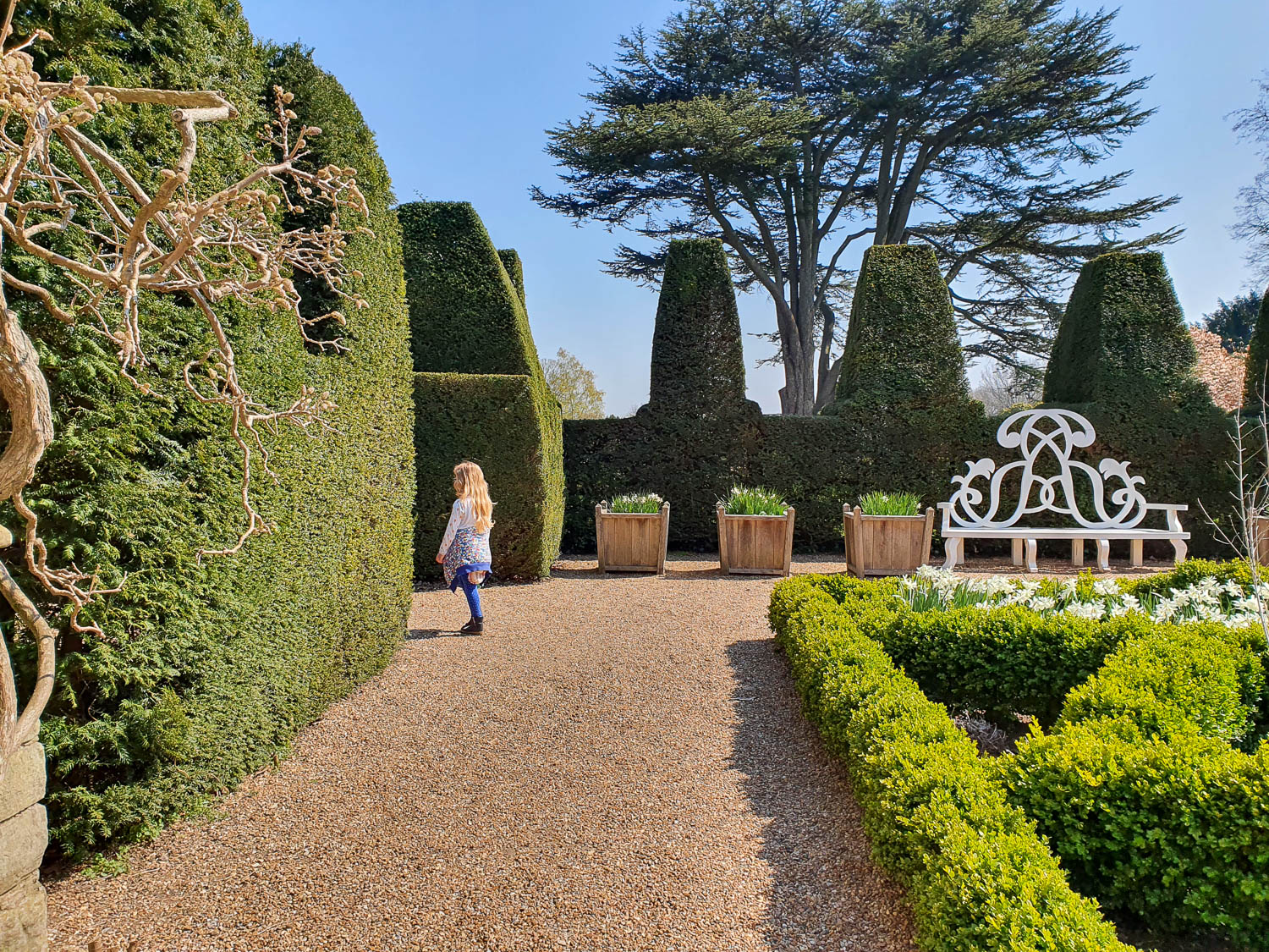 My daughter walks toward the exit of one small formal garden with a big white bench and topiary hedges - a visit to Nymans with kids