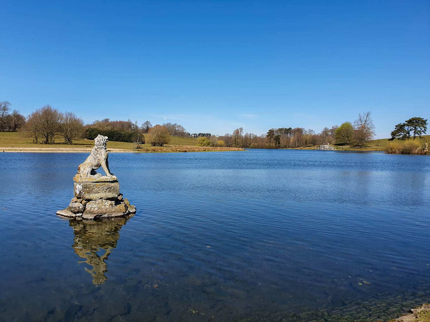 View across the pond at Petworth Park with a stone lion statue in the centre and the water reflecting the clear blue sky - a day out at Petworth with kids exploring National Trust sites in Sussex
