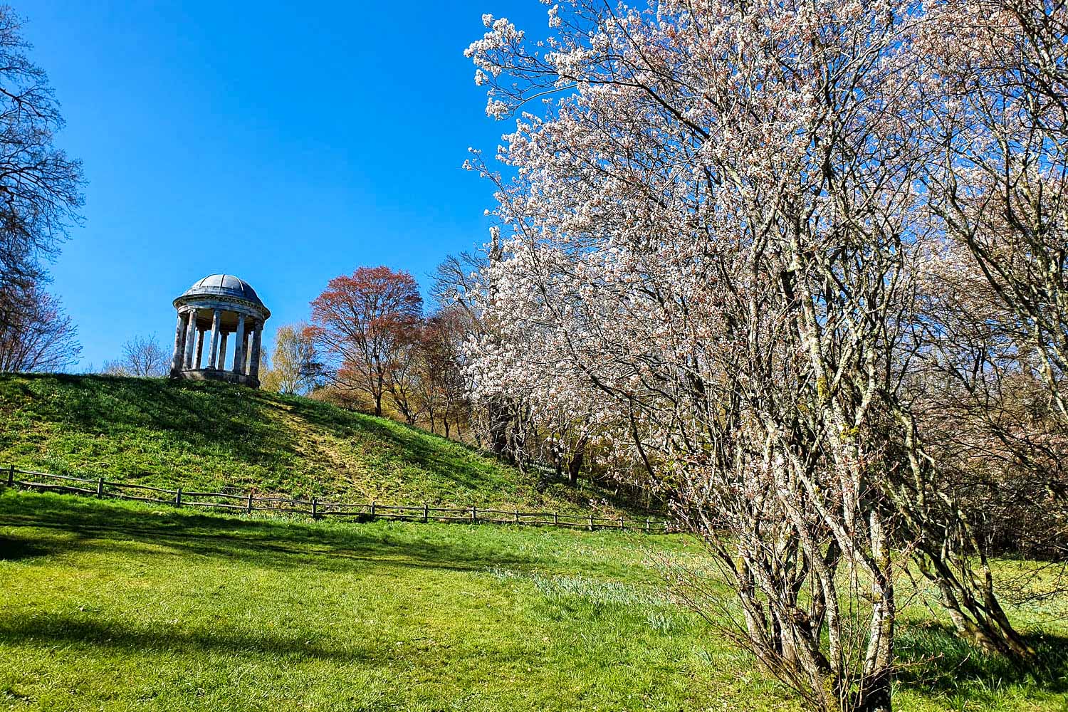 View across the gardens at Petworth with blossoming trees in the foreground and the Doric temple in the distance - a day out at Petworth National Trust in Sussex