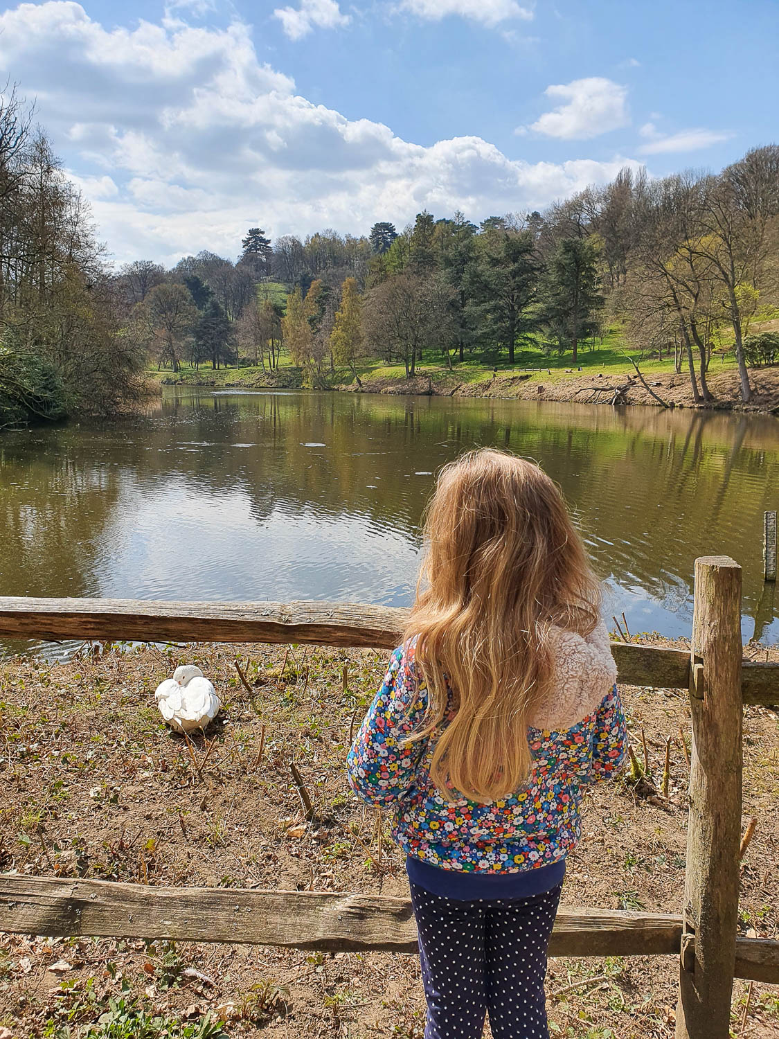 My daughter looks out across the still lake to the trees and hillside of Winkworth arboretum on a sunny day - exploring Winkworth National Trust in Surrey with kids