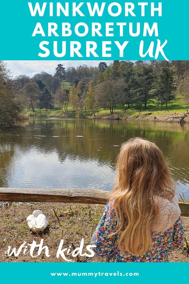 A day out at Winkworth Arboretum with kids - my review of a family day out in Surrey, at Winkworth Arboretum, one of the Surrey National Trust sites. Discovering spring flowers, the natual play area, the lakeside and some of the beautiful flowers, as well as family trails and activities.