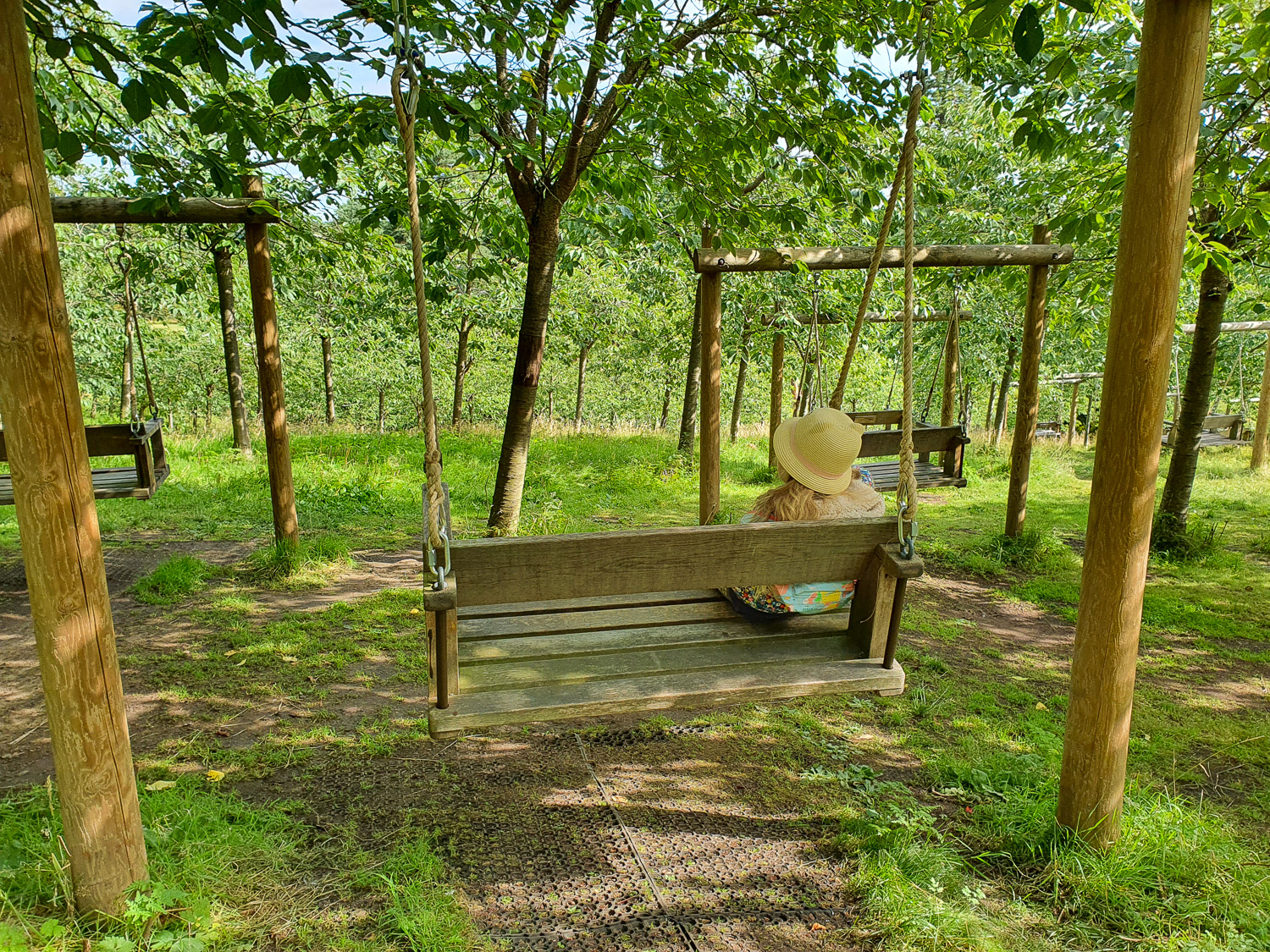 My daughter sits on a bench swing in the orchard, where cherry trees bloom in spring - visiting Alnwick Garden with kids