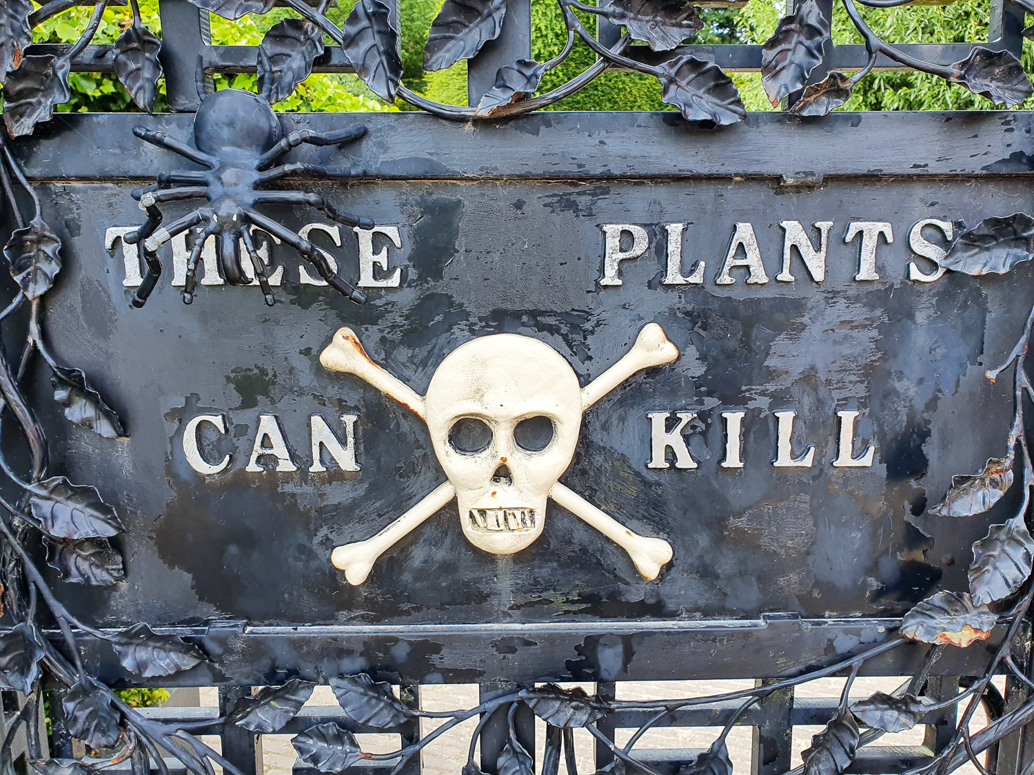 Sign saying 'these plants can kill' with skull and crossbones and spider at the entrance to the Poison Garden - a day out at Alnwick Garden with kids