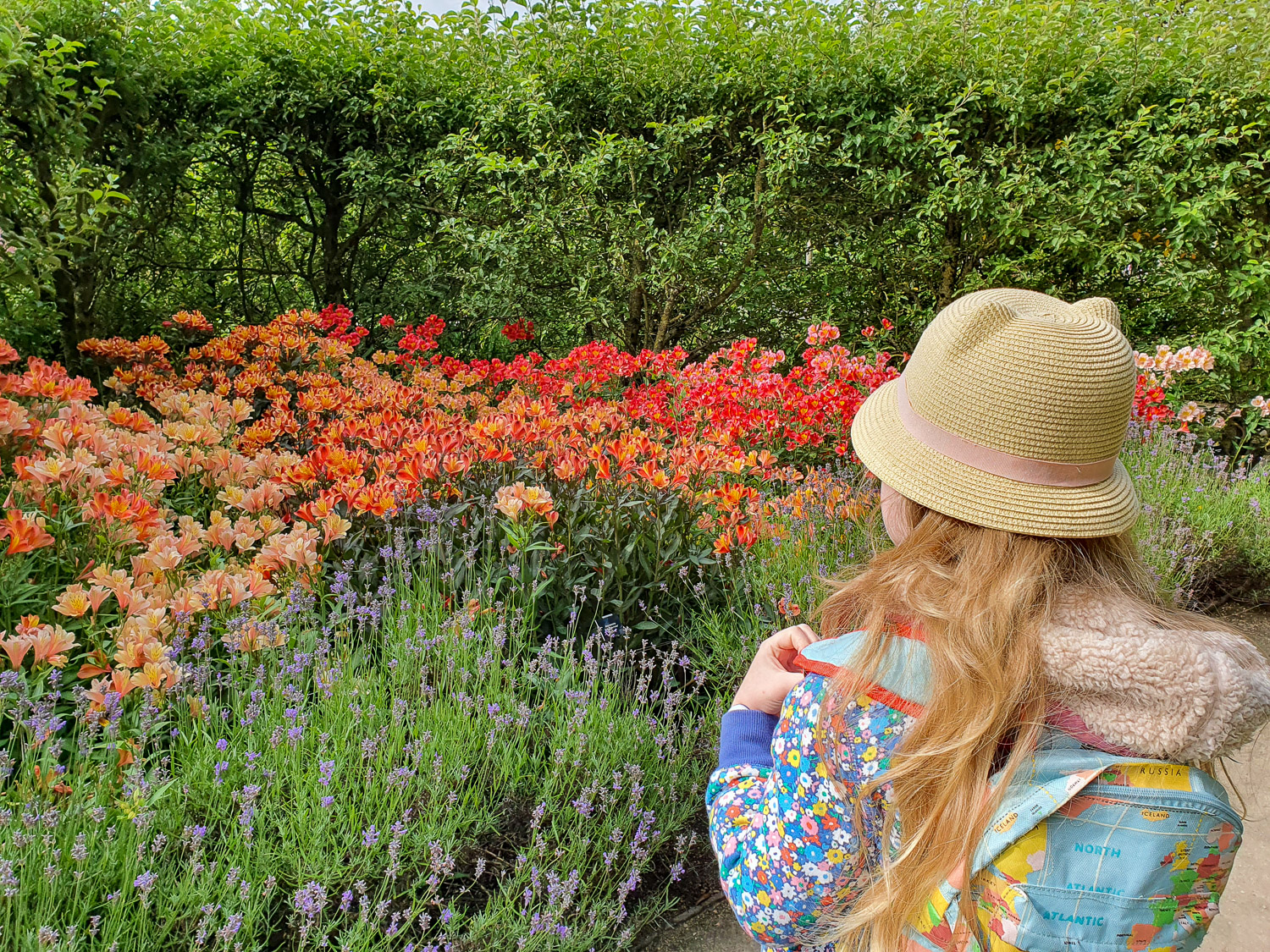 My daughter looks at the flowers in bloom in the rose garden - my review of Alnwick Gardens with kids