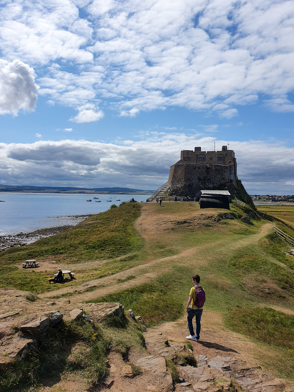 View looking down from a hill onto the path leading to the castle, with man looking out to sea - there are several walking trails on Lindisfarne for families