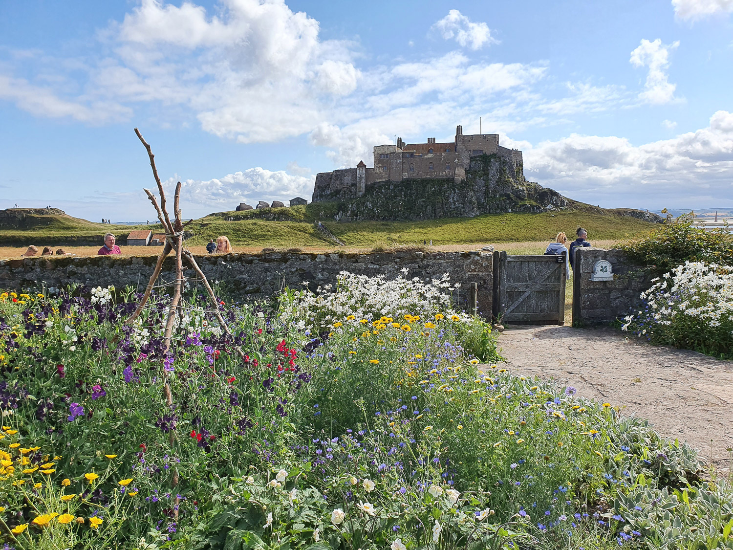 View over the flowers in the Gertrude Jekyll Garden to Lindisfarne castle, Northumberland - one of my top things to do on Lindisfarne with kids