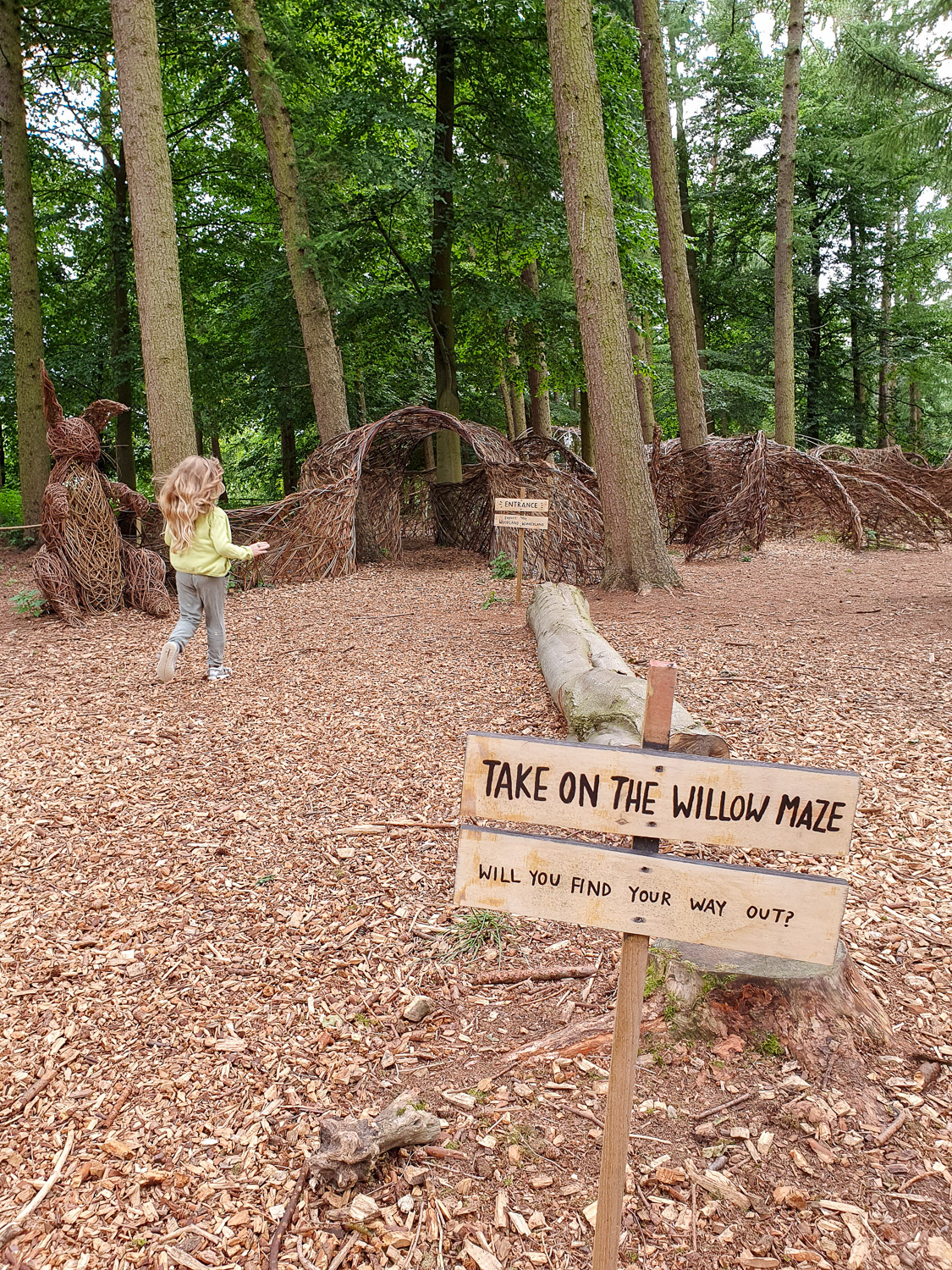 My daughter runs towards the willow maze with a signpost asking 'will you find your way out' in the natural playground at Harewood House, Leeds
