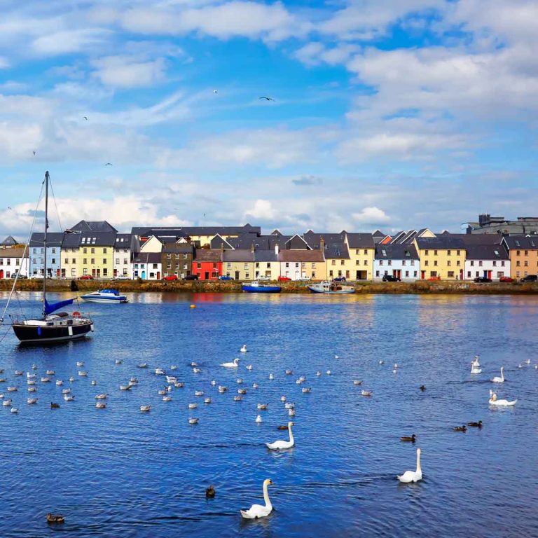 View of swans and gulls on the water with colourful houses in the background of the Claddagh in Galway - the best free things to do in Galway, Ireland