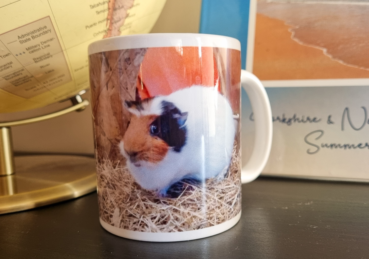 Close-up image of a mug printed with a photo of a guinea pig, photobook and globe in the background - my review of My Picture photo printing