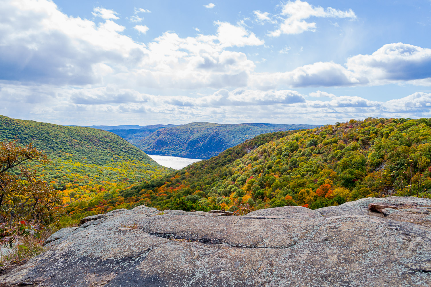 View of green and orange leaves on the trees looking out to the Hudson river during a hike from Breakneck ridge to Cold Spring - why Cold Spring is among the best day trips from New York City with kids