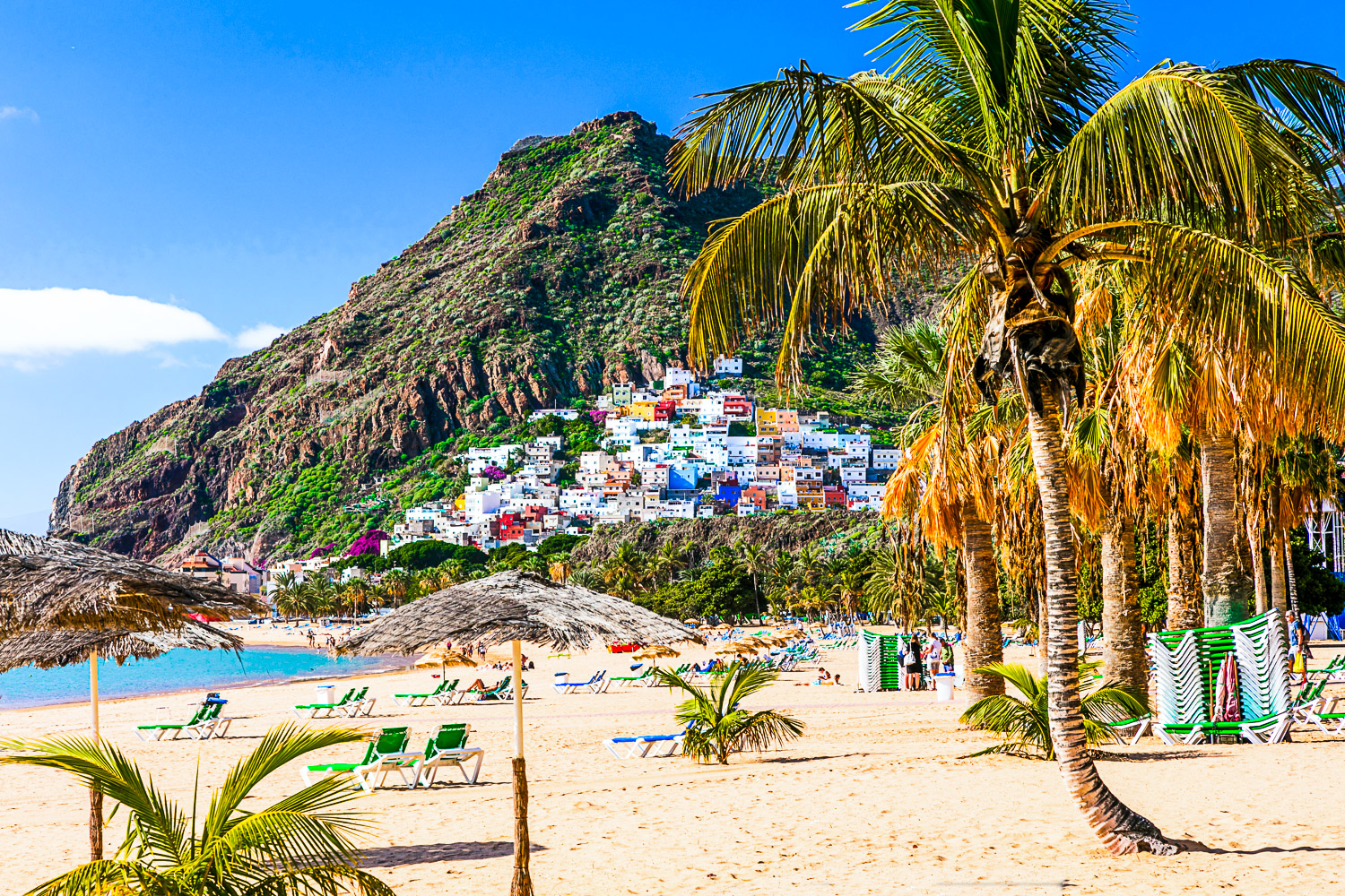 View of Las Teresitas beach near Santa Cruz with golden sand palm tree and colourful buildings in the shadow of a forested cliff - the Canary Islands are a great option for winter sun with kids