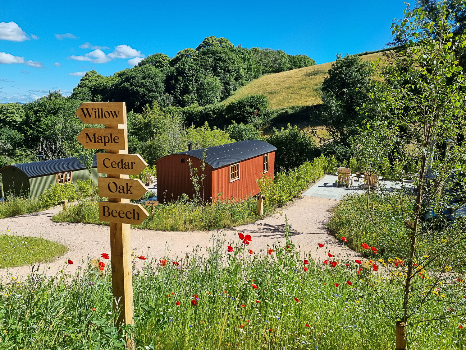 View past a signpost with names of trees and over wildflowers down to the shepherd's huts at the luxury Devon glamping site of Dittisham Hideaway
