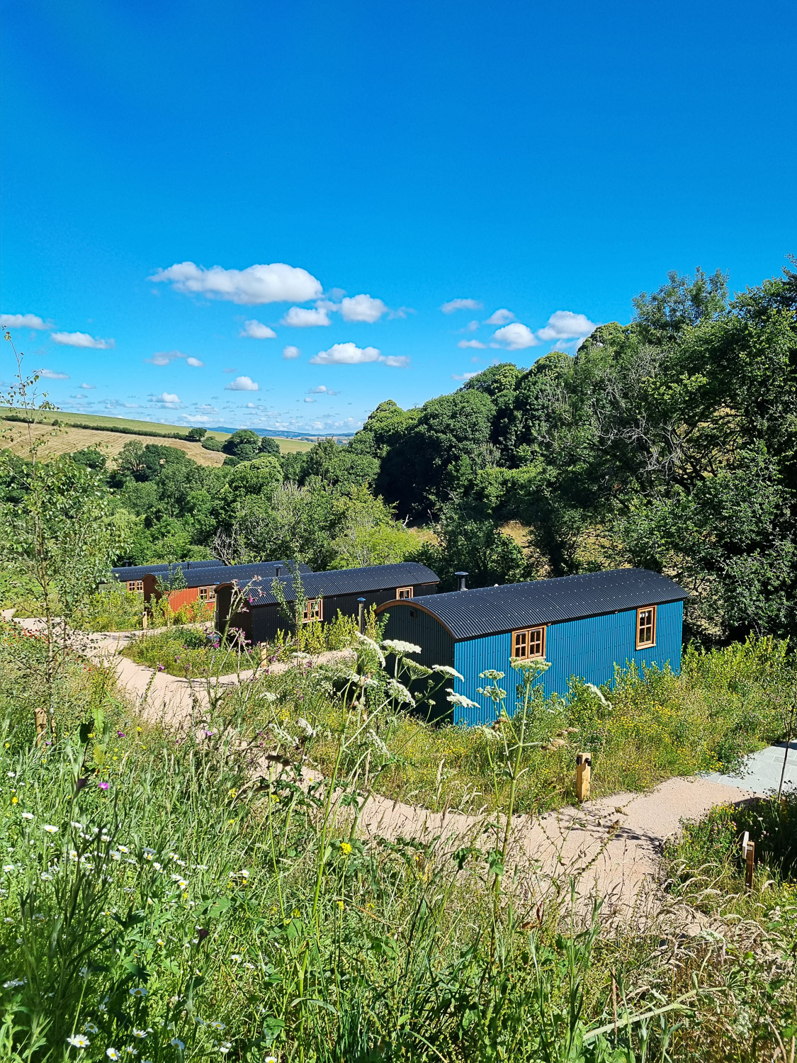 View towards several of the shepherd's huts at the luxury Devon glamping site of Dittisham Hideaway - my review
