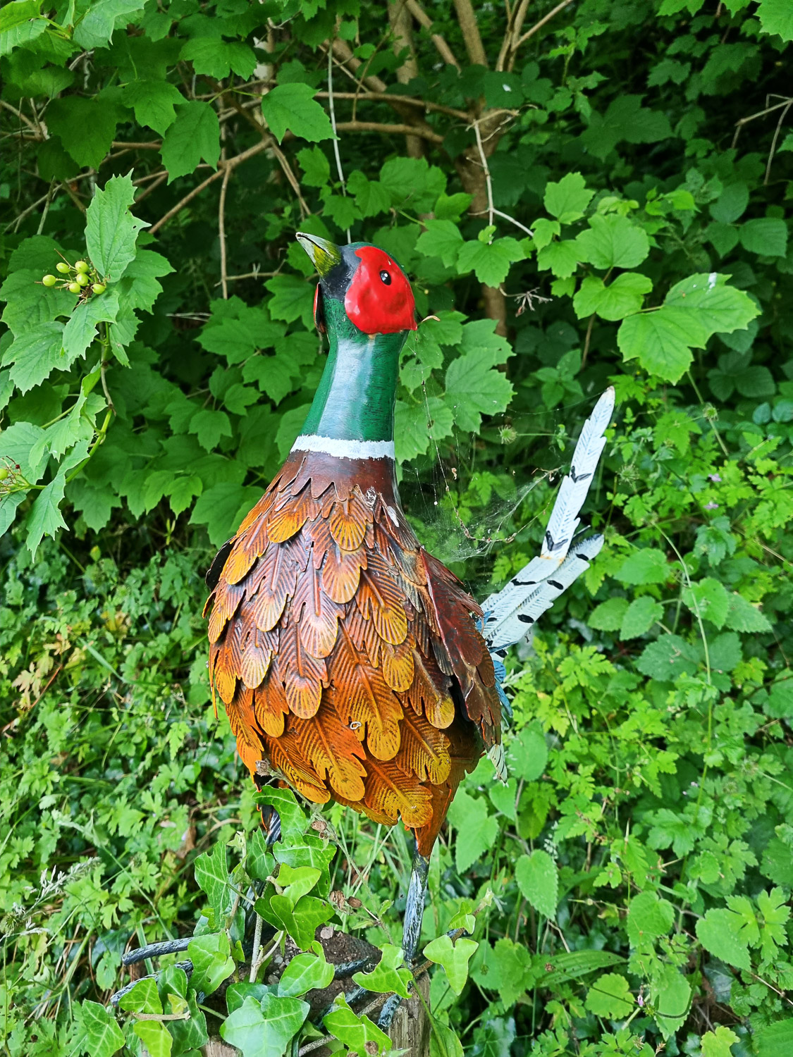 Colourful metal pheasant statue in the woods along the path to Owl treehouse - the real thing can be heard in the woods during a stay at luxury Devon glamping site Dittisham Hideaway