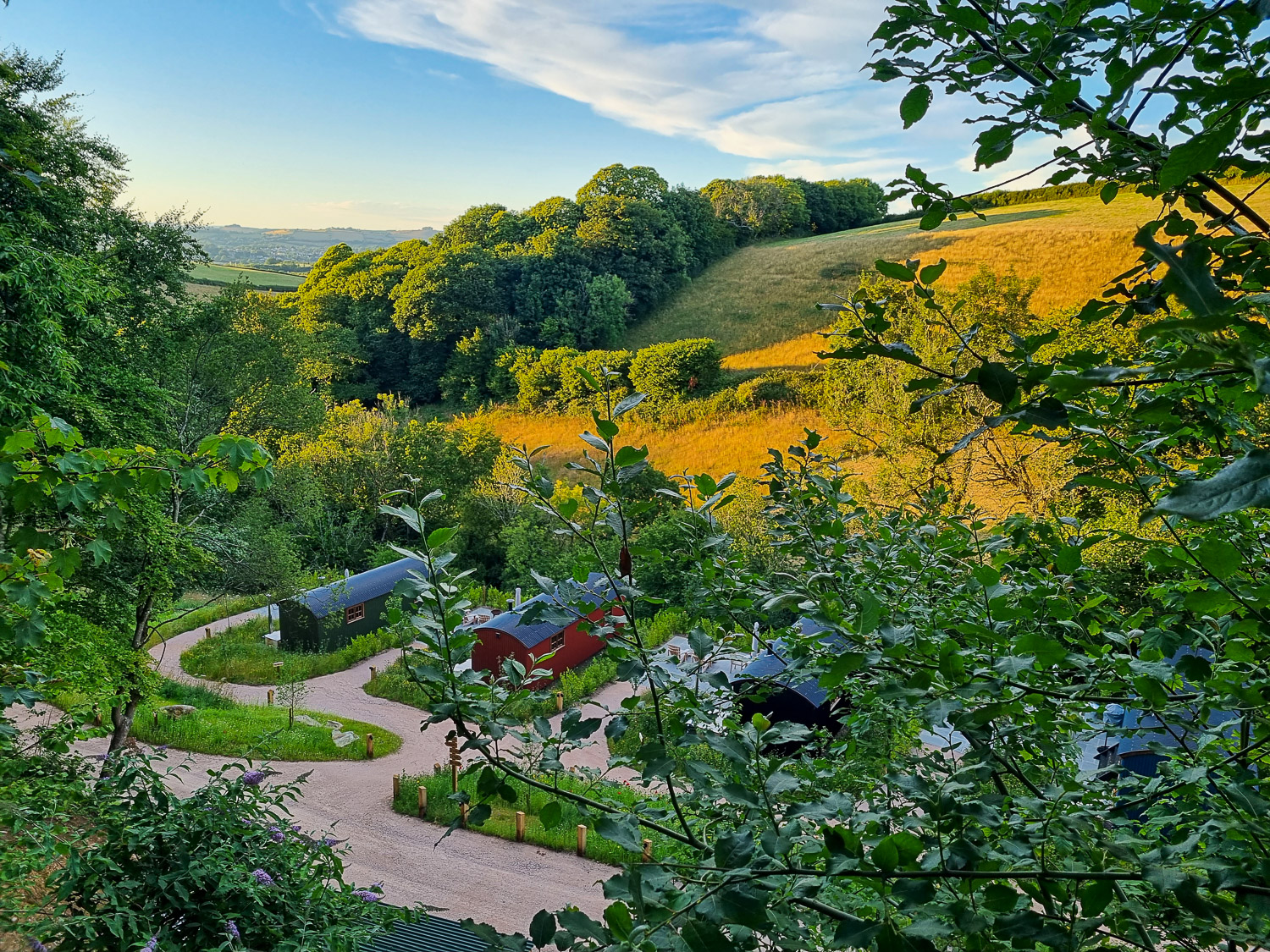 View down to the shepherd's huts with woodland and golden hills beyond - my review of Dittisham Hideaway luxury glamping in Devon