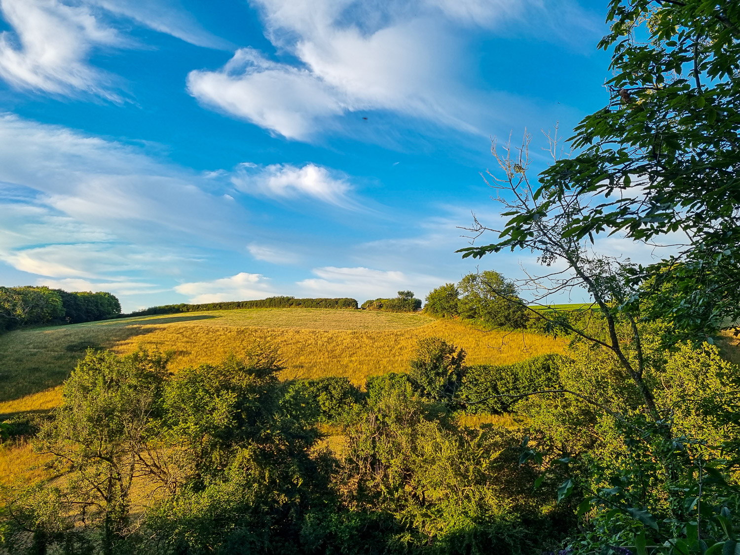 View from the deck of Owl treehouse to the fields and countryside of Devon - my Dittisham Hideaway review, perfect if you're looking for luxury glamping in Devon