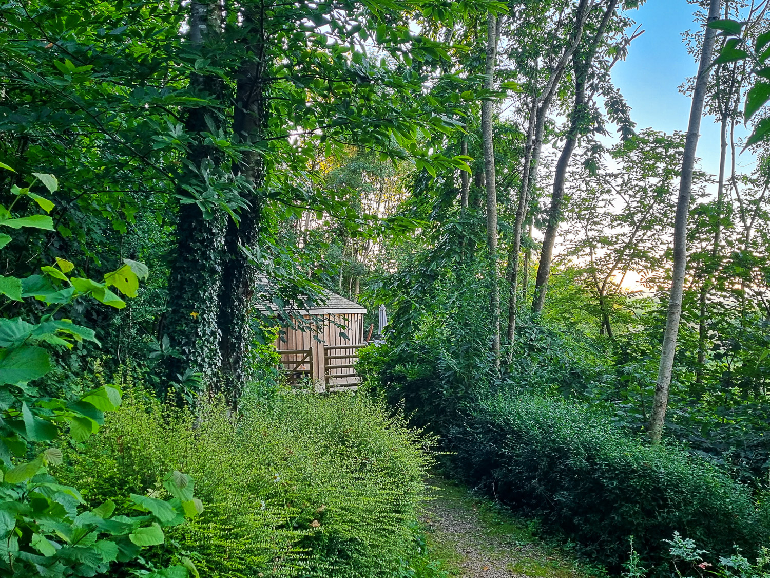 View along the path through the trees towards Owl treehouse - my Dittisham Hideaway review after a stay at the Devon luxury glamping site