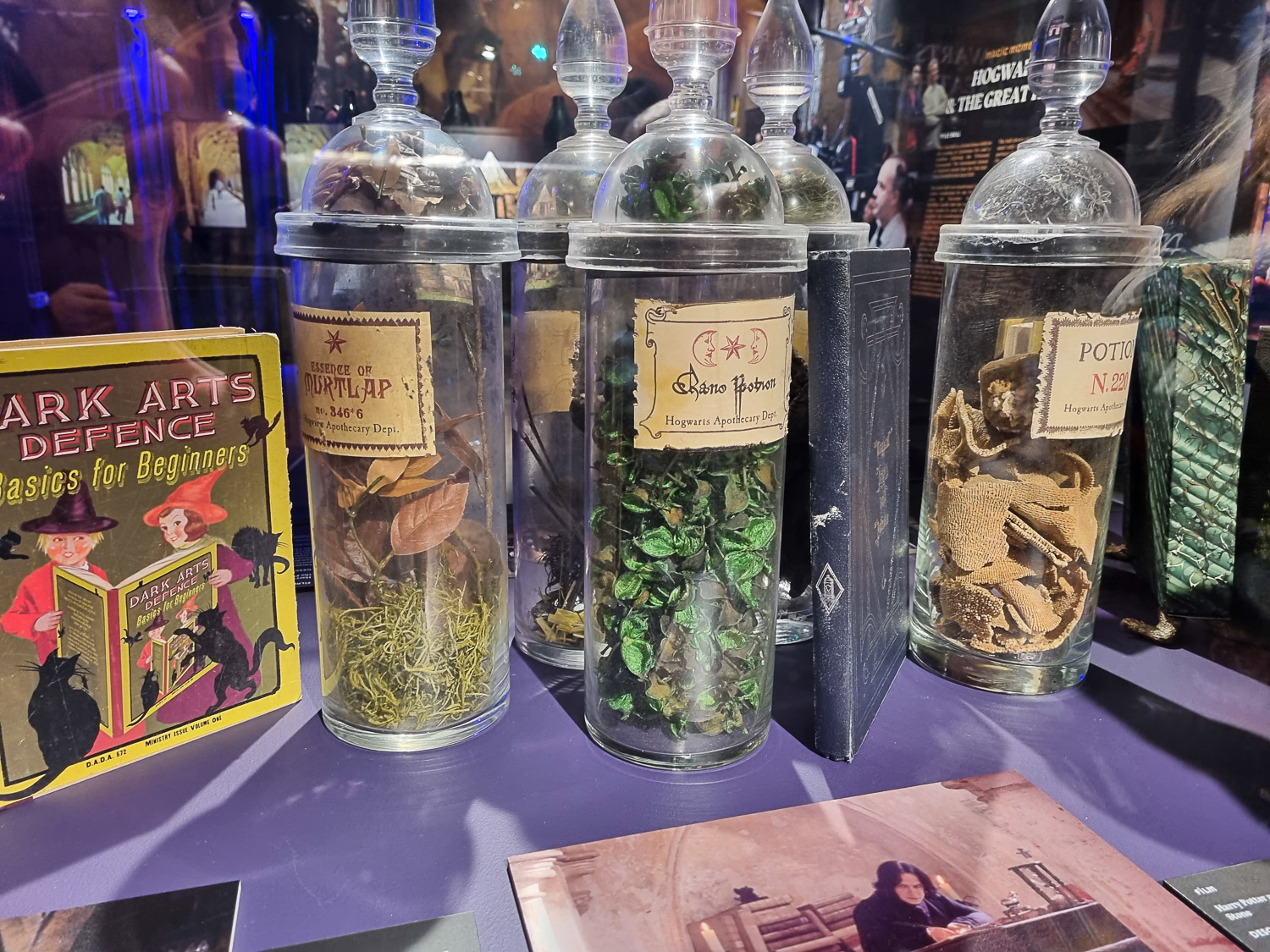 Close up of props on display including schoolbooks and potion ingredients as well as photos from the films during a visit to London's Harry Potter Photo Exhibition with kids - my review