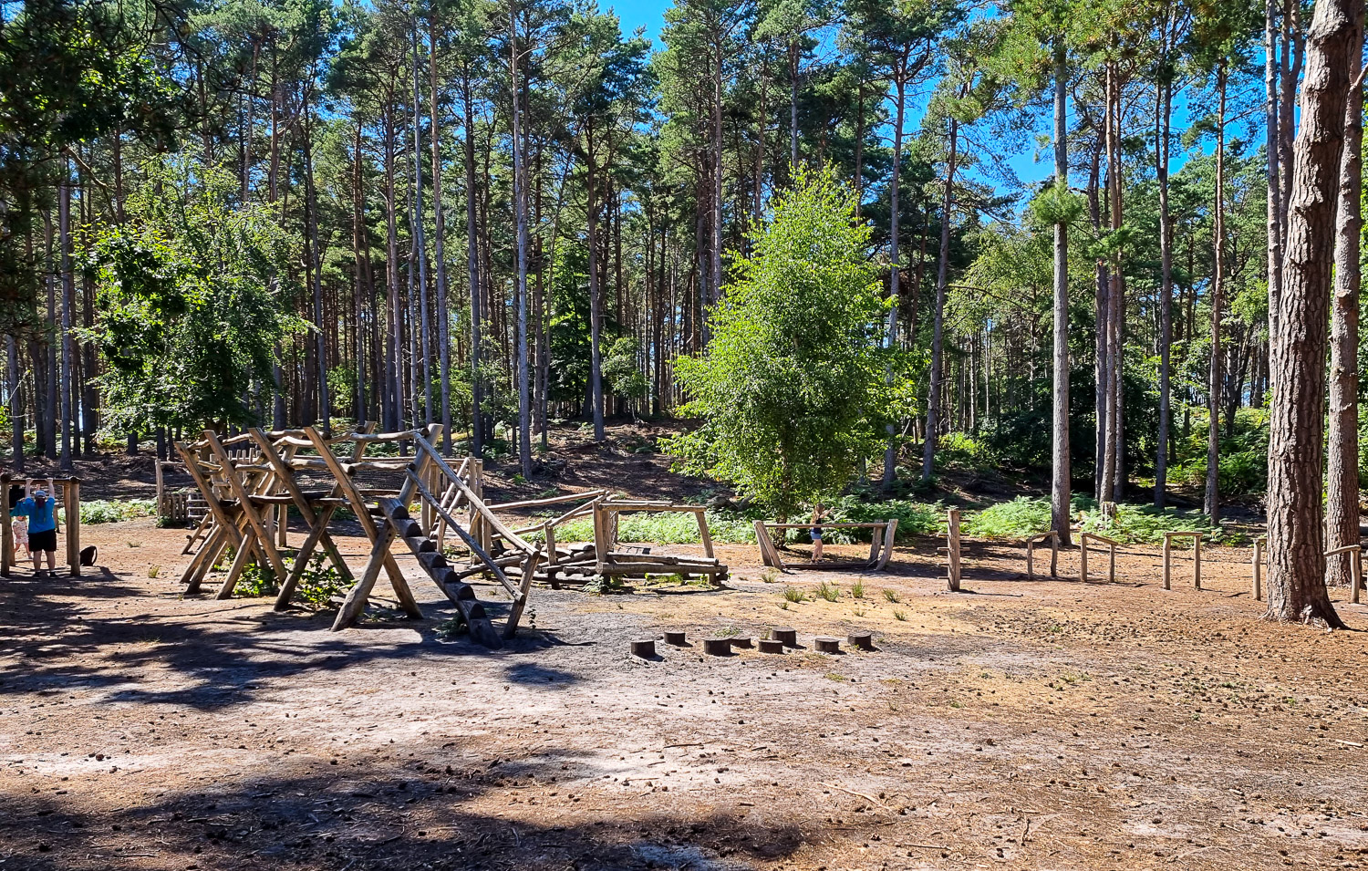 Part of the natural playground in the woodland on Brownsea Island in Dorset - on the quieter side of the island, it's well worth hunting out if you're visiting Brownsea Island with kids
