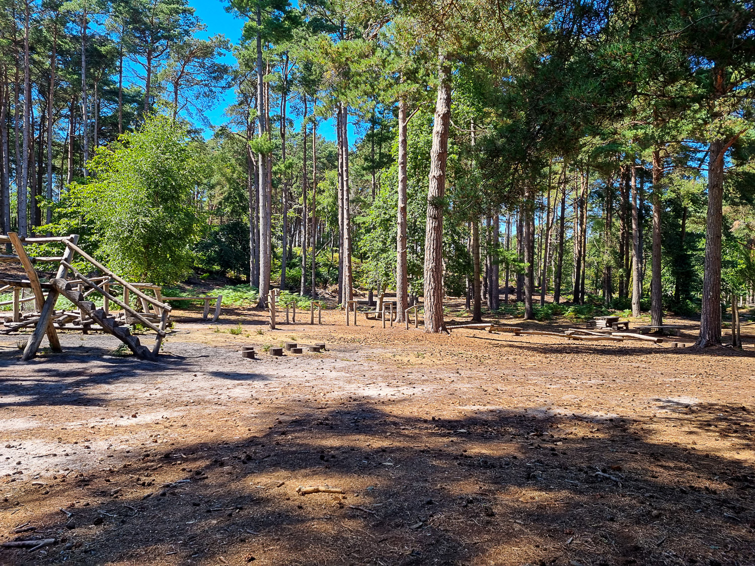 Part of the natural playground in the woodland on Brownsea Island in Dorset - on the quieter side of the island, it's well worth hunting out if you're visiting Brownsea Island with kids