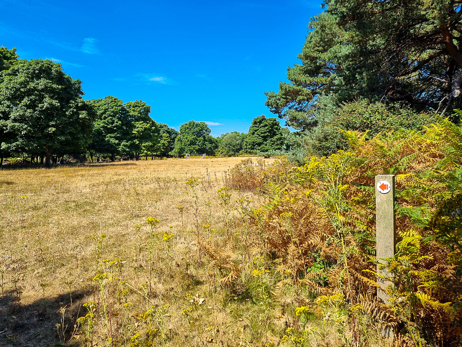 Sign with an arrow pointing to one of the walking trails on Brownsea Island in Dorset