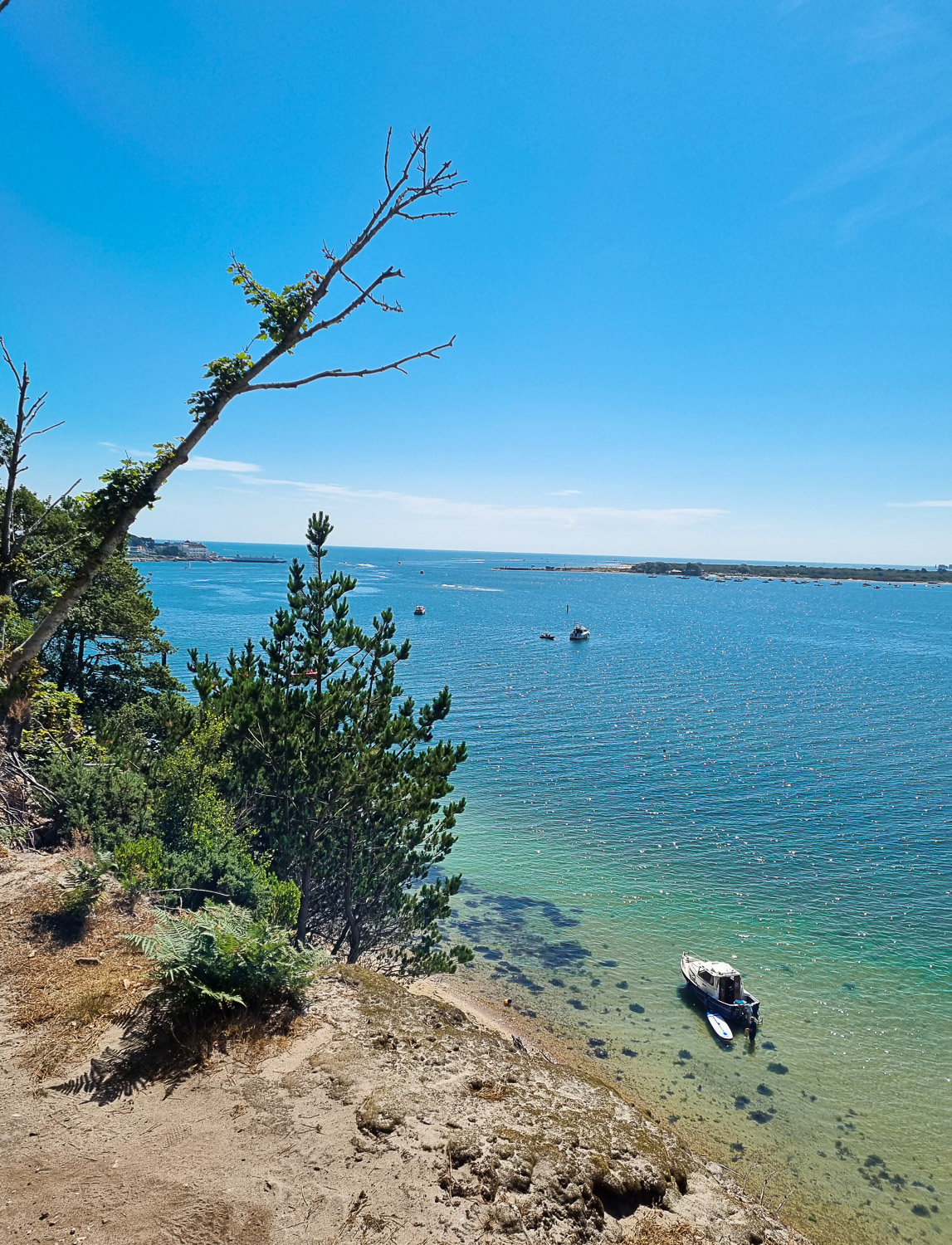 View from the cliffs down to the sea, with a small boat on the green blue shallows - a bonus of visiting Brownsea Island with kids is time on the beach as well as in the woods