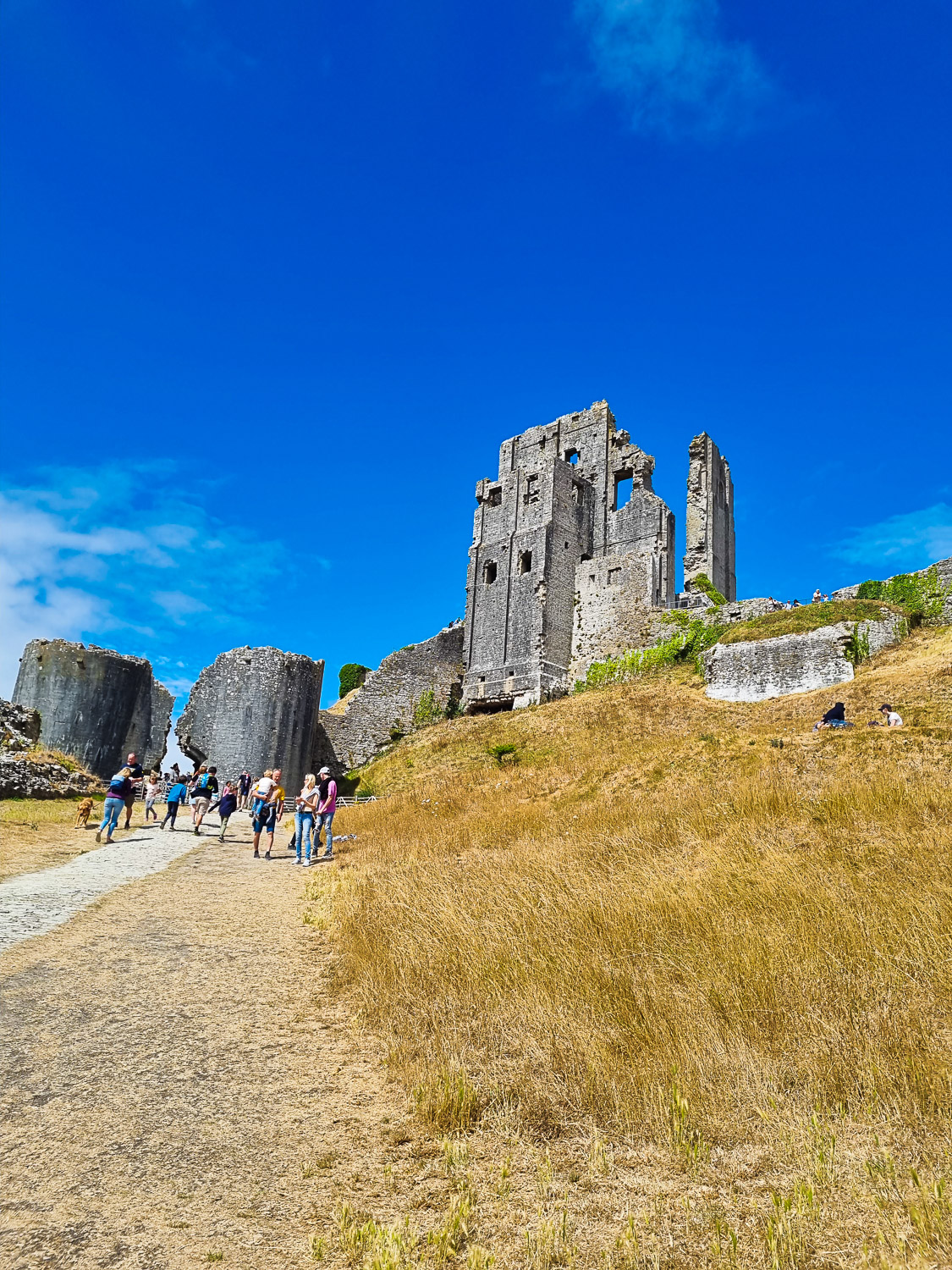 View across the grass to the ruins of the gatehouse and part of the towers during a day out at Corfe Castle with kids