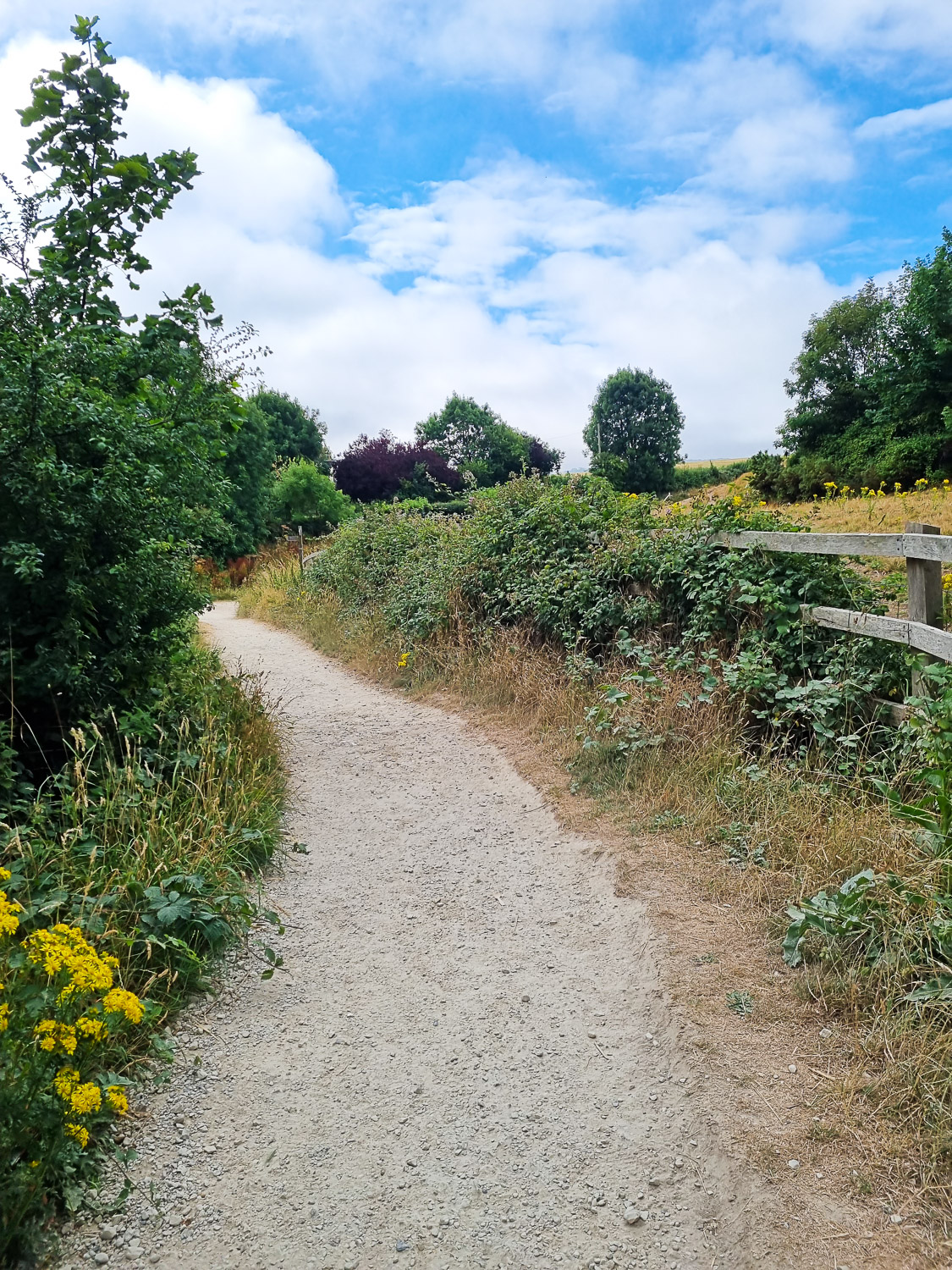 Path around the castle hill on the walk from the car park to Corfe Castle itself
