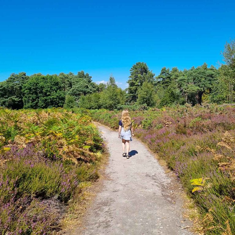 My daughter walks along a path through the heathland under a clear blue sky during a day out on Brownsea Island with kids
