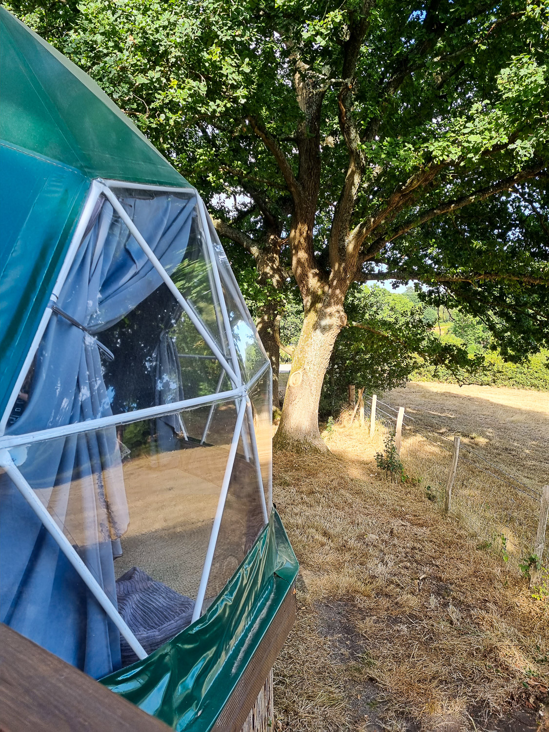 Side view of Knole Luna Dome with clear window visible and trees to one side - my review of luxury glamping in Kent with kids