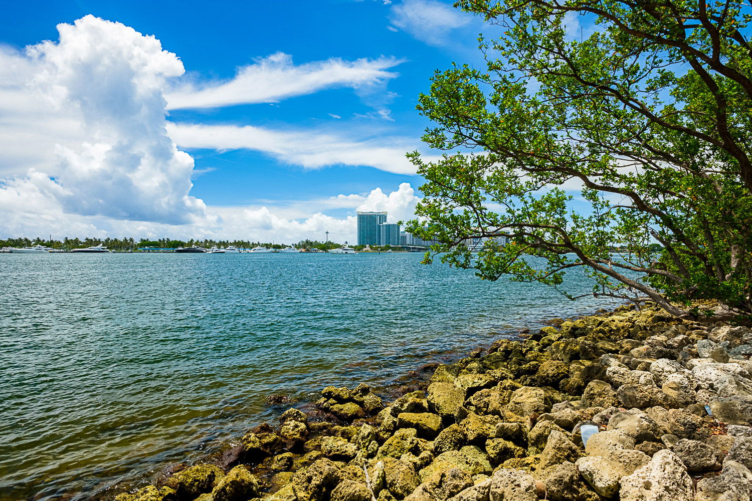 View of the bay and skyscrapers from Oleta River State Park in North Miami - one of several places to get outdoors with kids in Miami