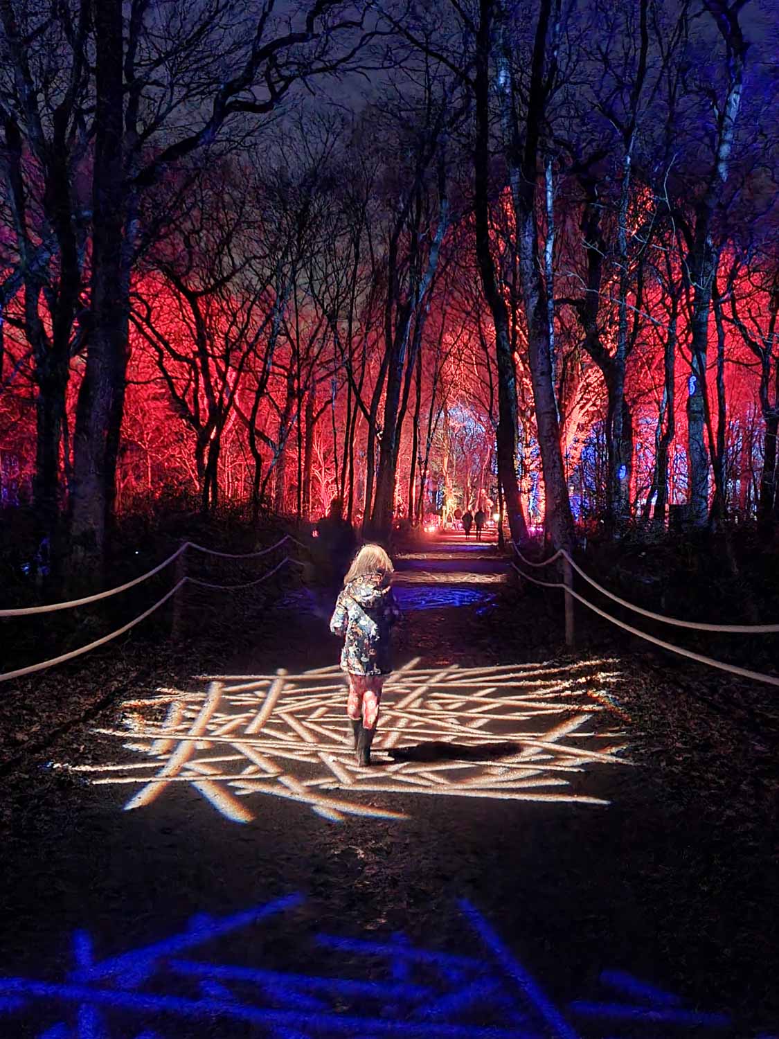 My daughter walks on an illuminated path at the Harry Potter Forbidden Forest Experience in Cheshire - my review