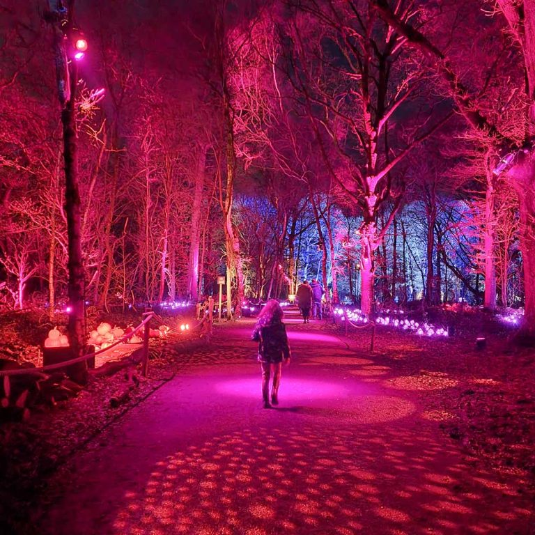 My daughter walks on an illuminated path at the Harry Potter Forbidden Forest Experience in Cheshire - my review
