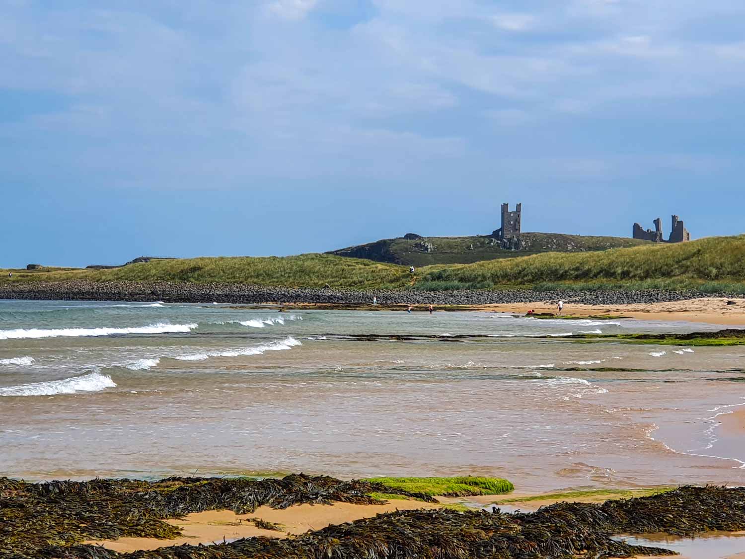 View from Embleton beach back to the ruins of Dunstanburgh Castle across the seaweed, sand and waves - visiting Dunstanburgh Castle Northumberland with kids